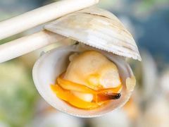 -拾下卜卜贝•海鲜火锅