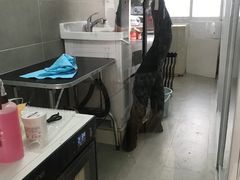 -叮叮猫咪生活馆