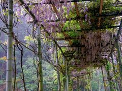 -常德桃花源景区