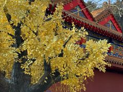 -青岩寺风景区