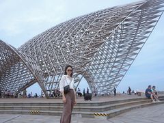 -南汇嘴观海公园