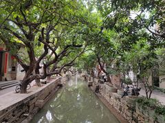 -小洲村