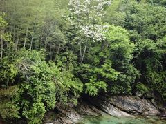 -黄山翡翠谷景区