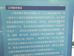 -上海智力产业园