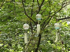 -黄公望隐居地