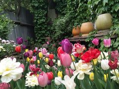 -斯多格书乡(北京大学畅春园店)