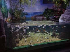 -常州海昌海洋探索馆