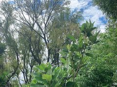 -古道惠风饭庄