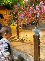 -酷嗒动物文化乐园(cutezoo西溪乐天城店)