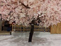 -Mr·Kuma酷么先生雪之乐园