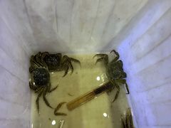 -蟹状元大闸蟹·年货·粽子(成都成华店)