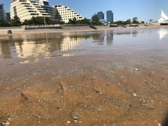 -日照灯塔风景区