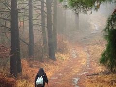 -虞山风景区
