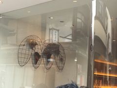 -% Arabica(京都东山店)