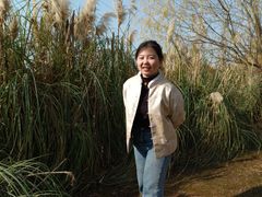 -东湖落雁景区