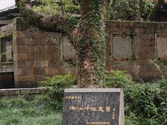 -瑶琳仙境