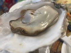 -岳季煎饺