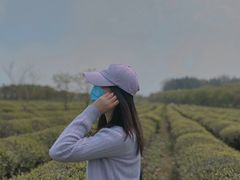 -凤凰沟景区