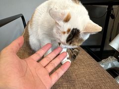 -转山咖啡(松柏社区店)