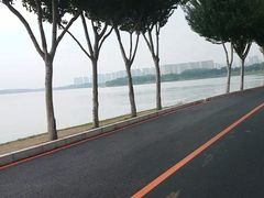 -丁香湖公园