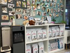 -爱妮康宠物医院·干细胞免疫细胞·肿瘤·心脏(张江店)