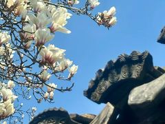 -上海方塔园