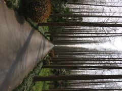 怡沁园度假村-上海怡沁园度假酒店