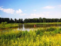 -东郊湿地公园
