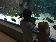 -福州罗源湾海洋世界旅游区