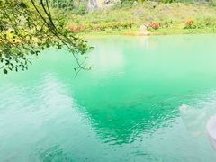 -靖西鹅泉风景区