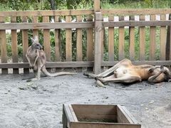 -水上乐园·欢乐世界