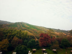 android_upload_pic-天目湖御水温泉·度假酒店