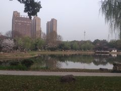 -堤角公园