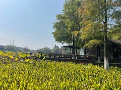 -铭莲·八卦田水上餐厅