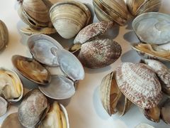 -海味当家·蒸锅海鲜(星海公园店)