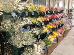 -优衣库(银座店)