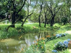 -人民公园(罗湖区)