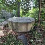 碉堡定为文物，闵行又添一例