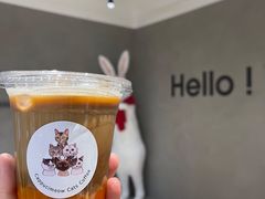 -Cappucimeow猫咪咖啡馆(韦伯时代店)