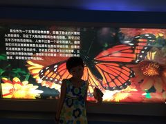 -上海昆虫博物馆