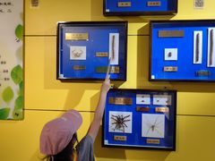 -上海昆虫博物馆