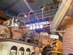 -卡通尼·Safari非洲探索乐园·生日会(金桥国际商业广场店)