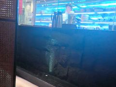 -麻路成都火锅(柏威年店)