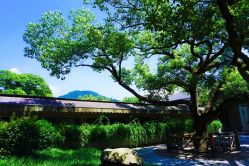 -东航云逸酒店·宴会厅