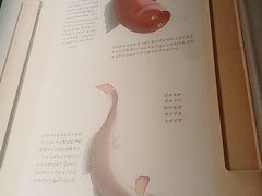 -贝林大翅鲸简餐厅(国家海洋博物馆店)