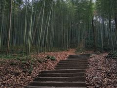 -西湖风景区十里琅珰-五云山
