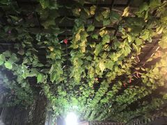 -阿鹏故事云南野生菌火锅(人民路店)
