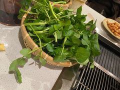 -攀枝花野菜铜火锅(万科凯德店)