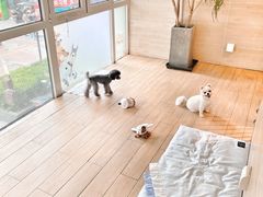 -Double Rui宠物酒店