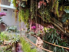 -正佳雨林生态植物园